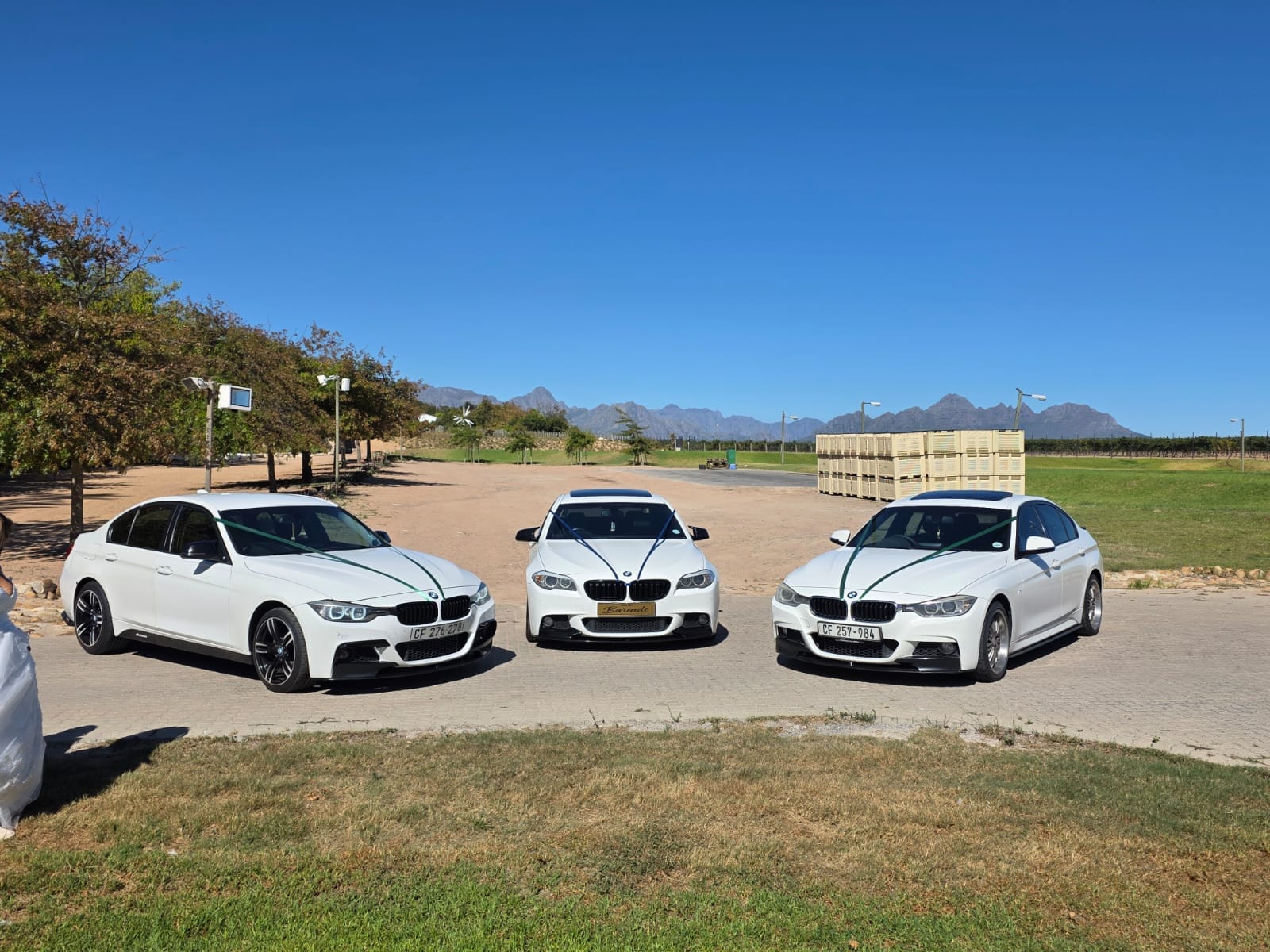 Three ribboned white BMW wedding cars at a winelands venue with mountains behind